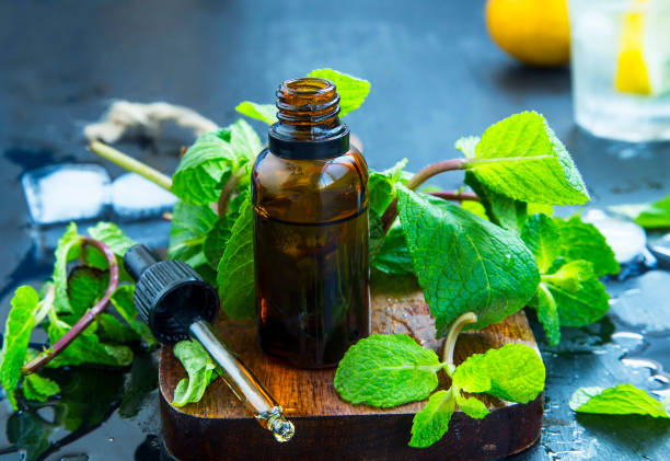 Rectified Peppermint Oil